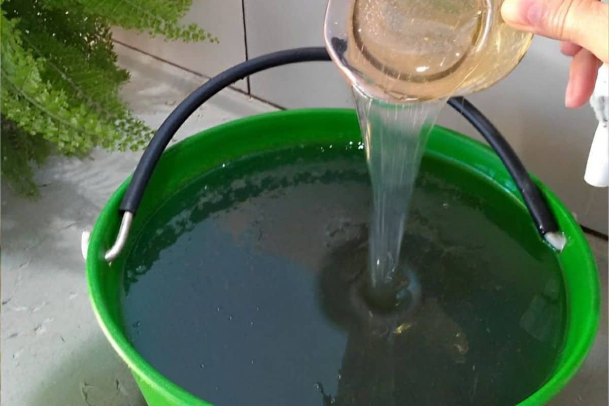 Como Fazer Sabão Líquido: Receitinha Para Quem Gosta de Economizar