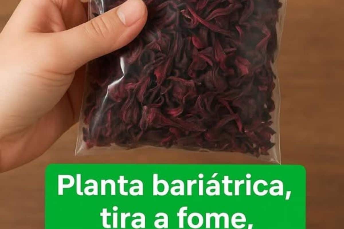 Como Preparar Chá de Hibisco Que Ajuda a Desinchar, Emagrecer e Ainda Fica Delicioso (Pronto em 15 Minutos)
