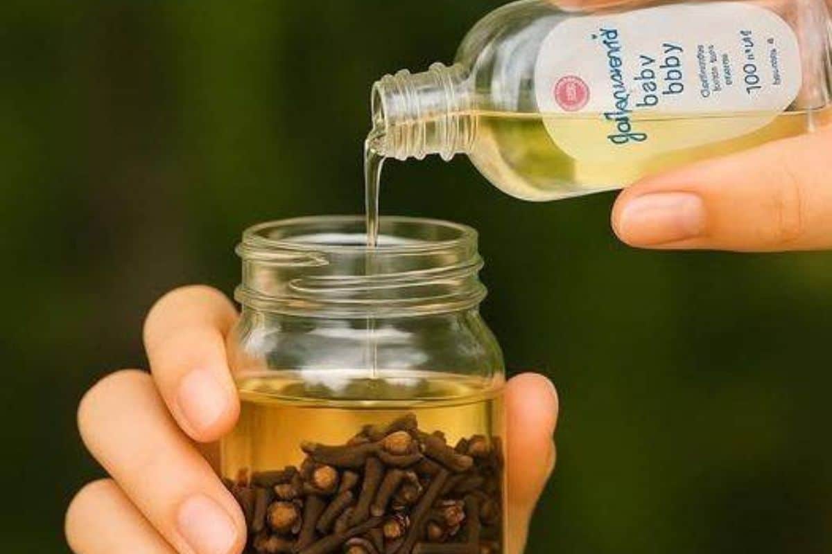 54 anos, mas parece ter 24. O segredo da Juventude em uma garrafa, adeus rugas e manchas