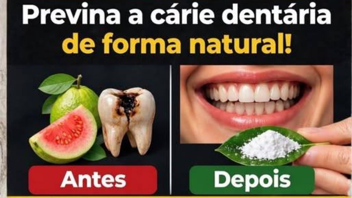 Descubra o Segredo da Natureza: 3 Receitas Suaves com Folhas de Goiaba para Apoiar a Saúde dos Seus Dentes