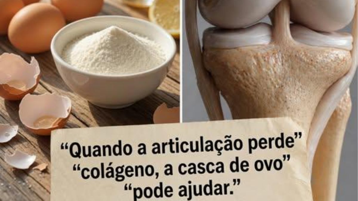 Você já se perguntou se a casca de ovo do dia a dia pode ajudar a apoiar o conforto das suas articulações de forma simples?