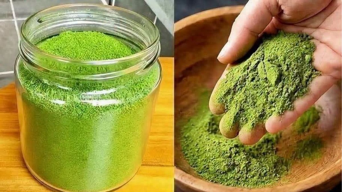 Orégano: descubra esta especiaria maravilhosa!